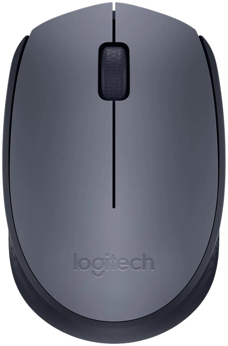 Logitech M170